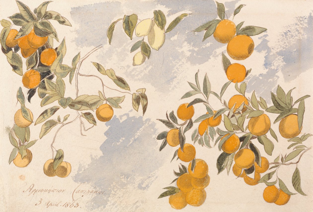 Fruktträd, 3 april 1863 av Edward Lear