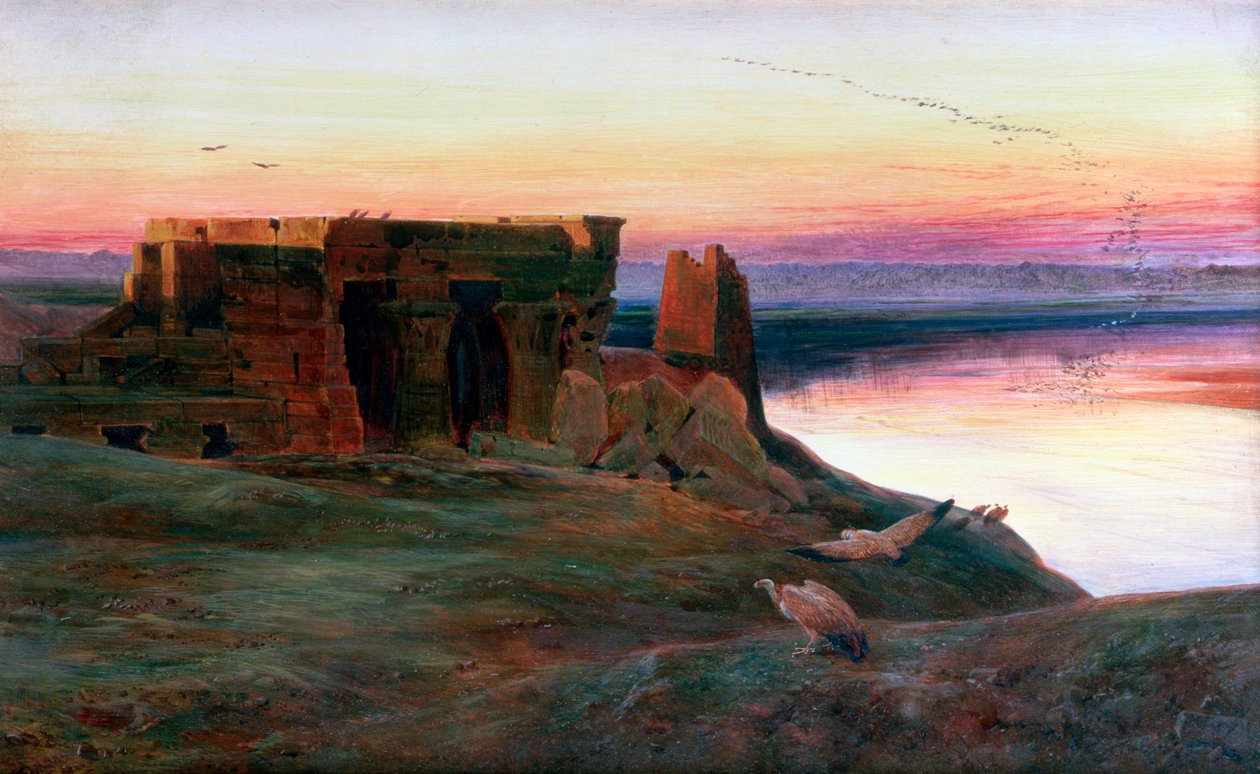 Kom till Ombo-templet, Egypten, 1856. av Edward Lear