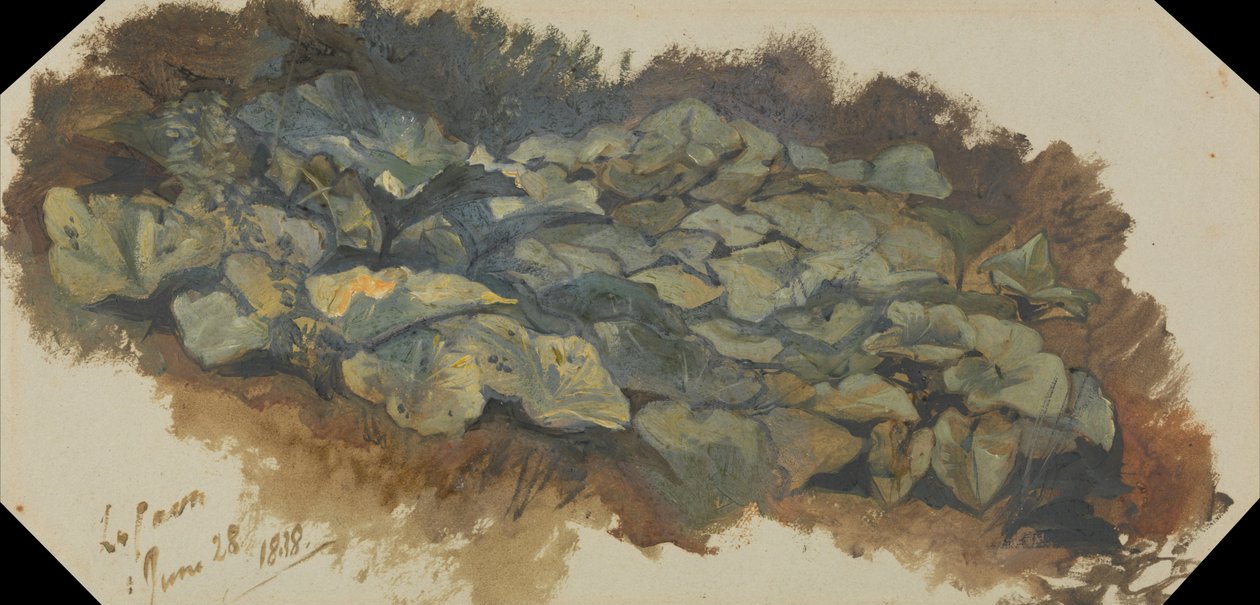 Stenbrottet av Edward Lear