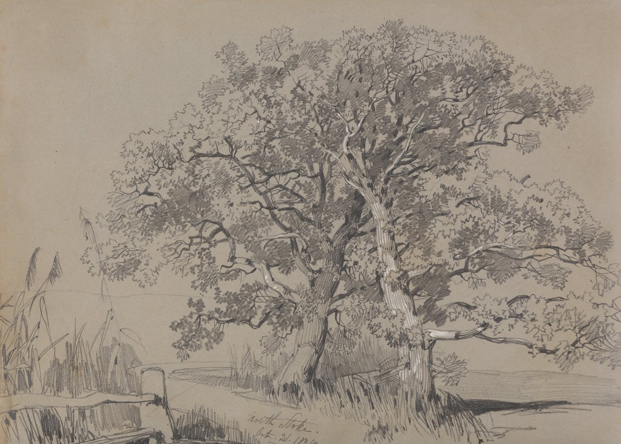 North Stoke. 21 oktober 1834. av Edward Lear