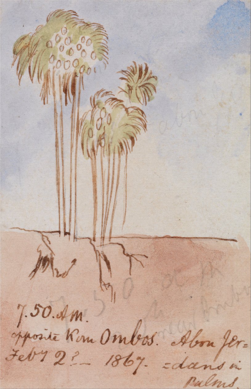 Mittemot Kom Ombos Abu Jer av Edward Lear