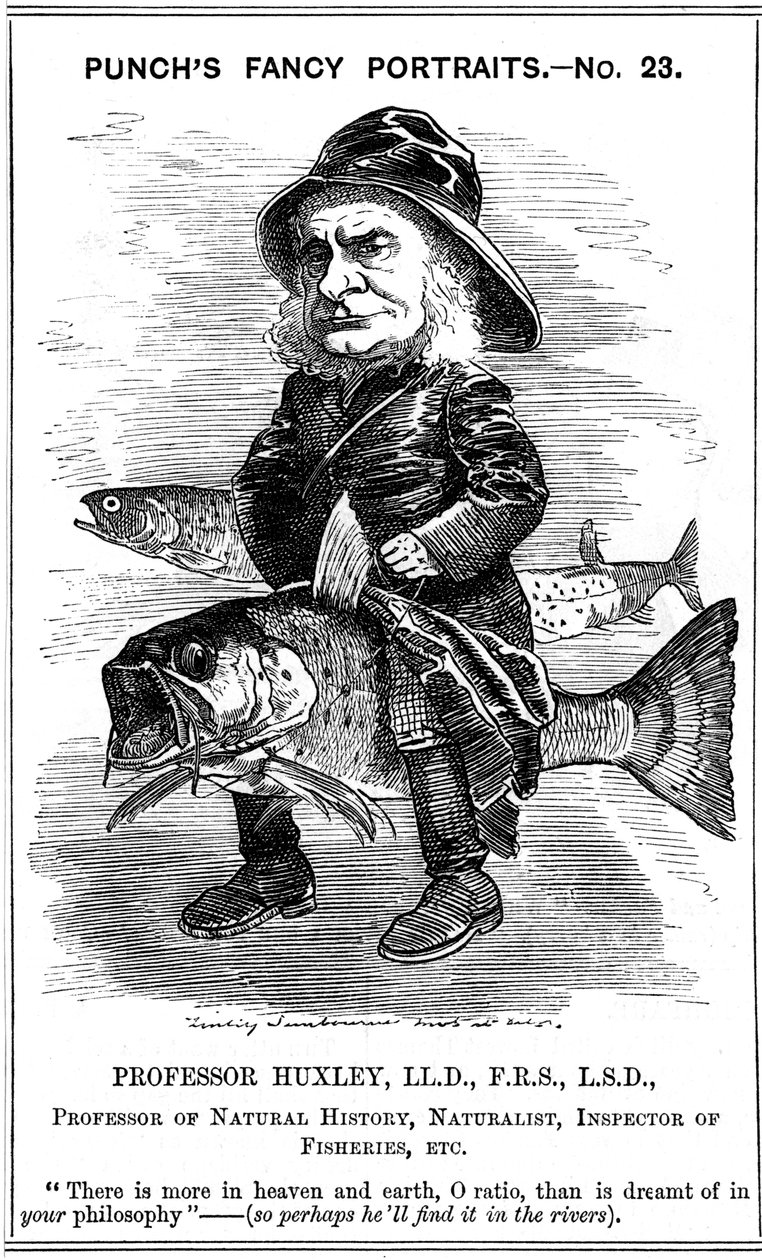Thomas Henry Huxley, engelsk biolog, 1881 av Edward Linley Sambourne