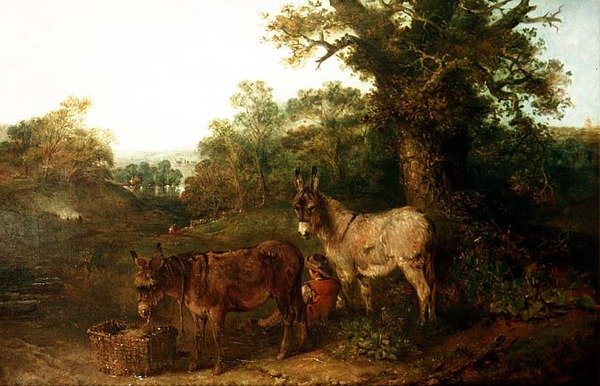 Åsnor i en glänta av Edward Robert Smythe