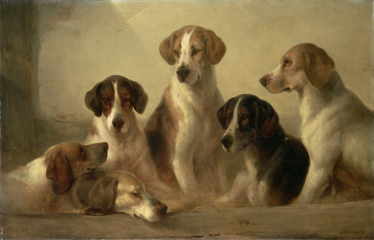 Hundar av Edward Robert Smythe