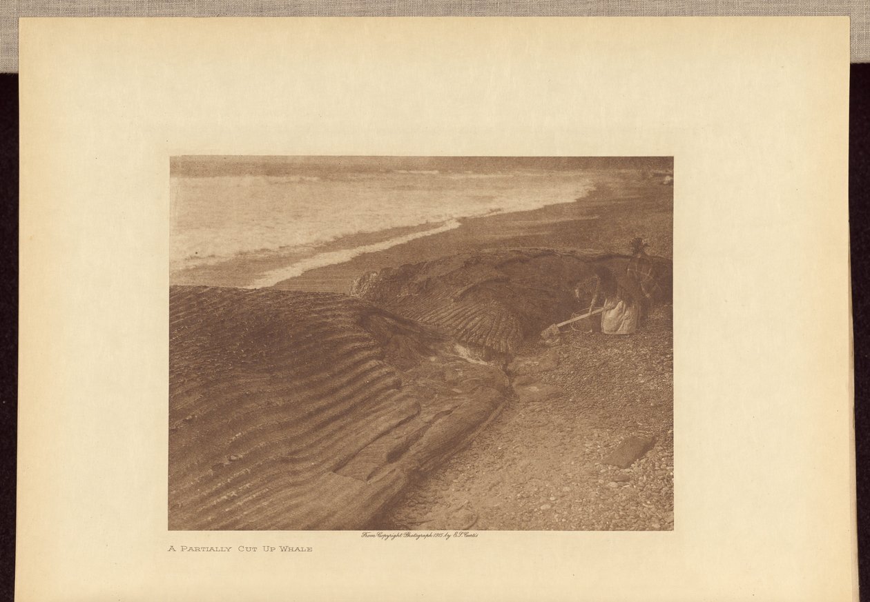 En delvis styckad val av Edward S. Curtis