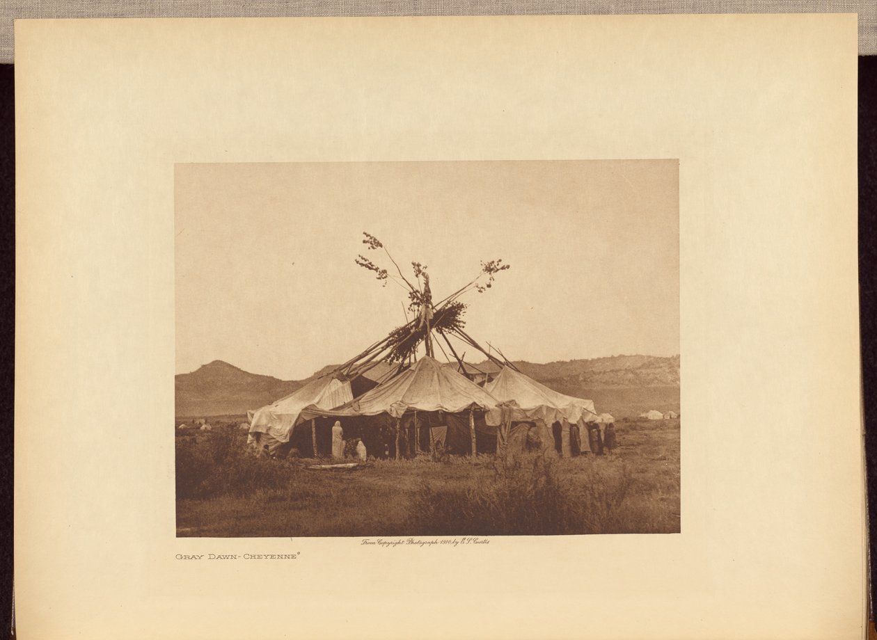 Grå gryning - Cheyenne av Edward S. Curtis