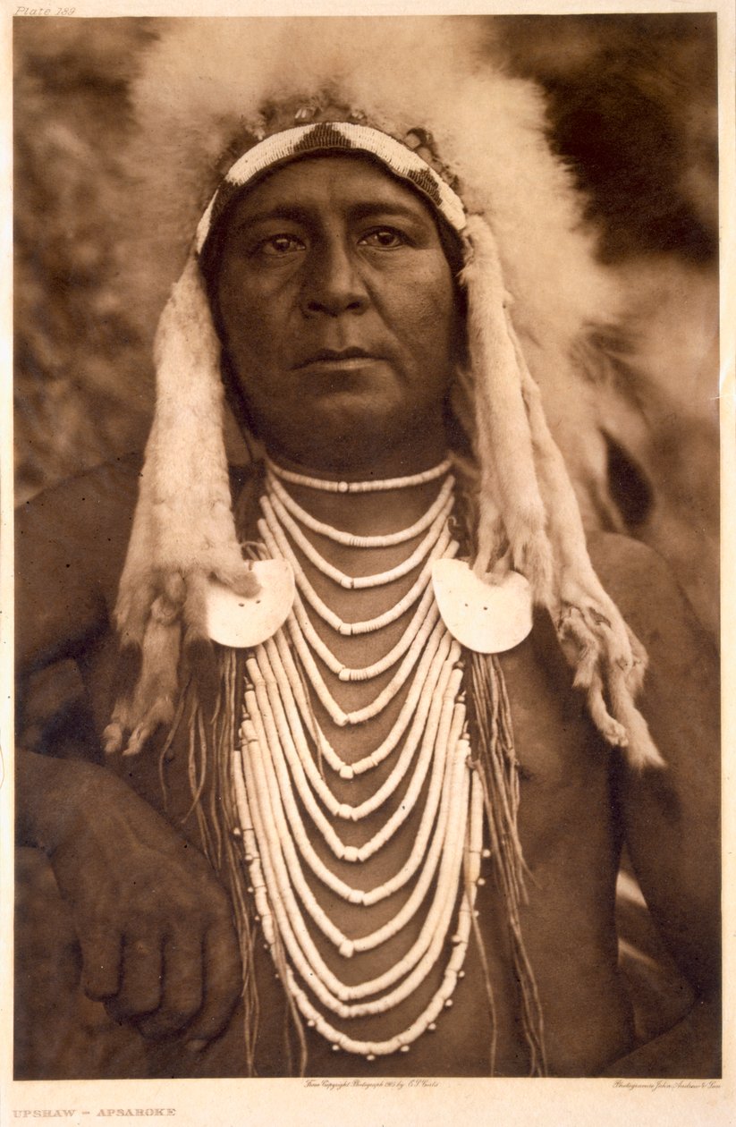 アプサロケ族のアップショースウェーデン語 av Edward Sheriff (after) Curtis