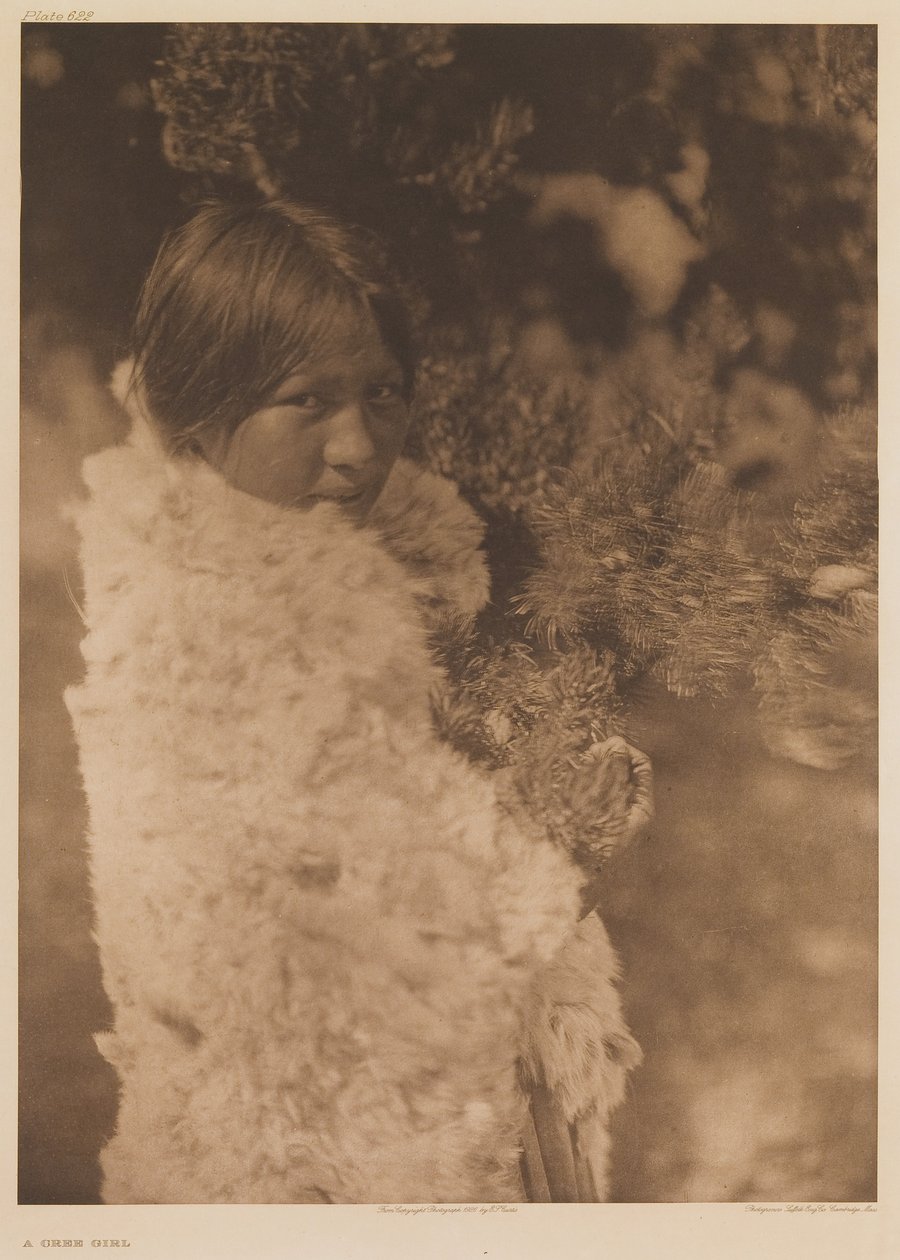 En cree-flicka av Edward Sheriff Curtis