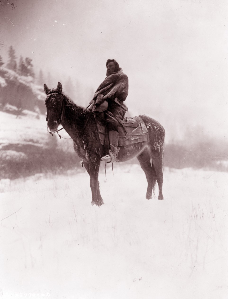 Scouten på vintern, Apsaroke av Edward Sheriff Curtis