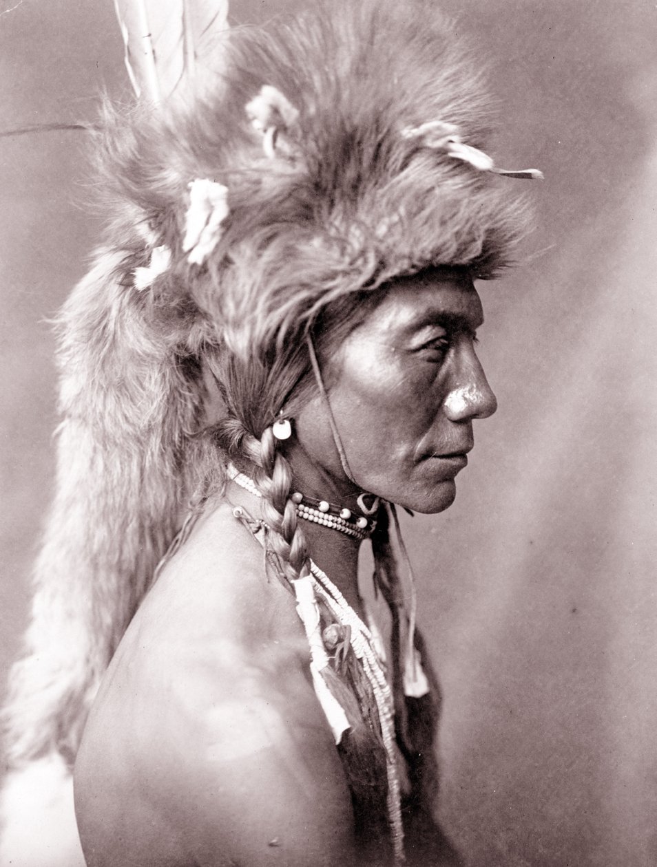 Gul njure, Piegan av Edward Sheriff Curtis