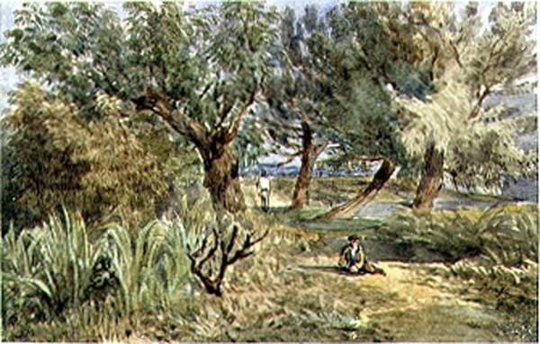 Battersea Fields av Edward attr. to Bragg