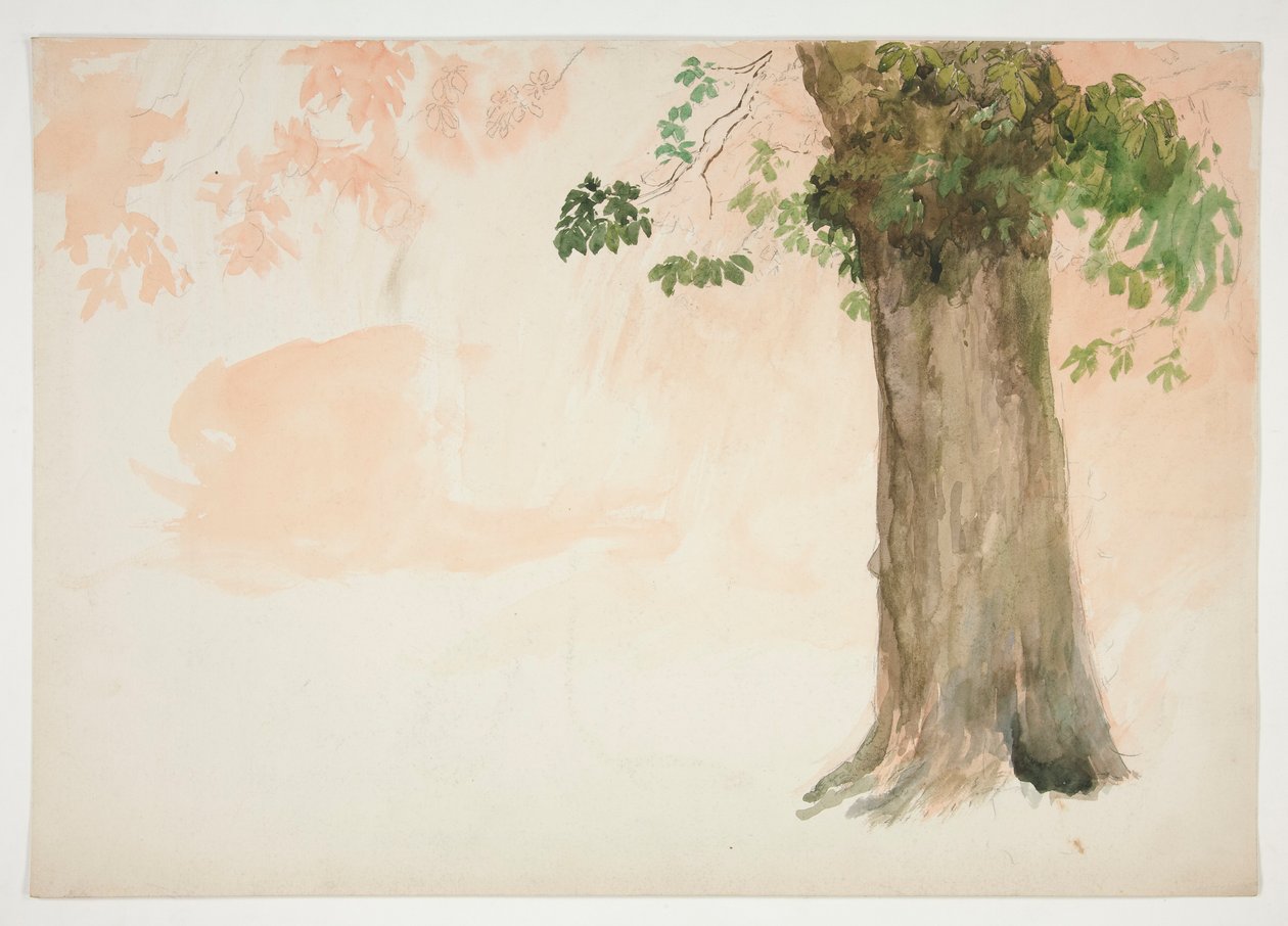 Studie av en trädstam av Edwin Austin Abbey