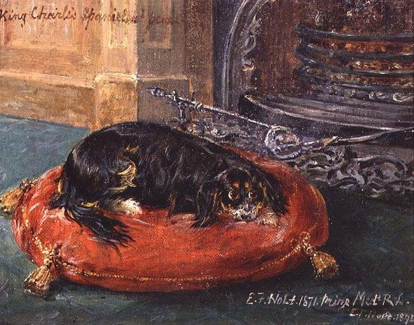 King Charles Spaniel i vila av Edwin Frederick Holt