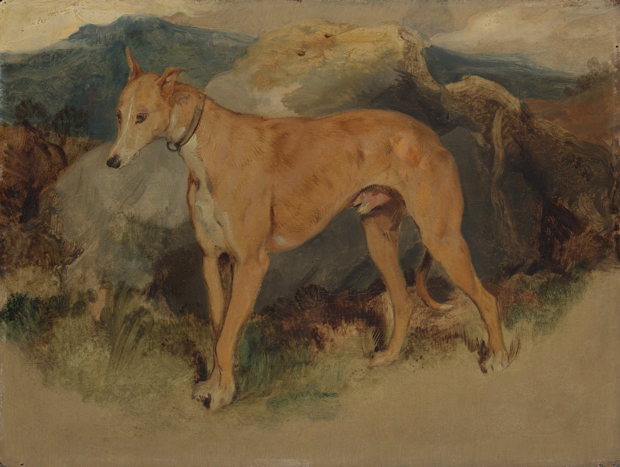 En rådjurshund, 1826. av Edwin Landseer