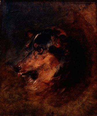 En huvudstudie av en colliehund av Edwin Landseer