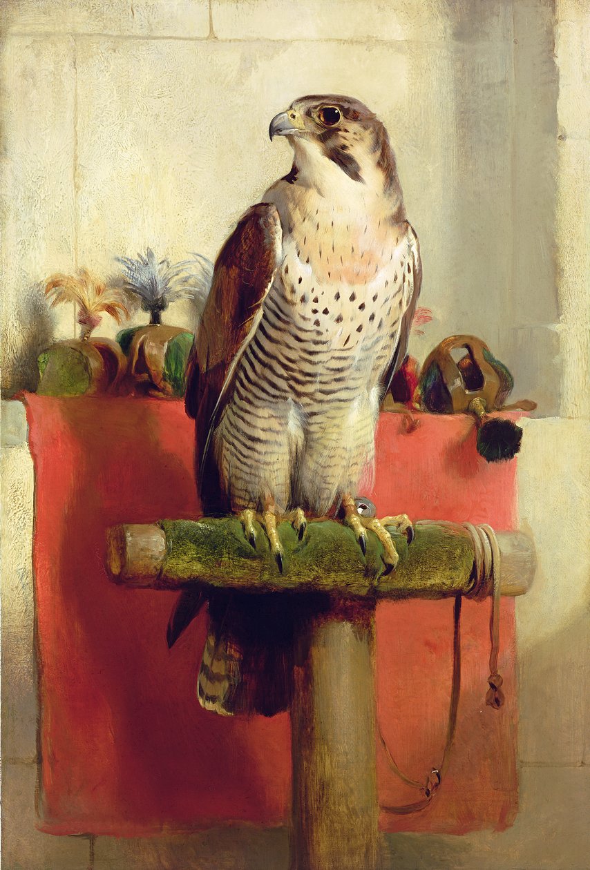 Falk, 1837 av Edwin Landseer