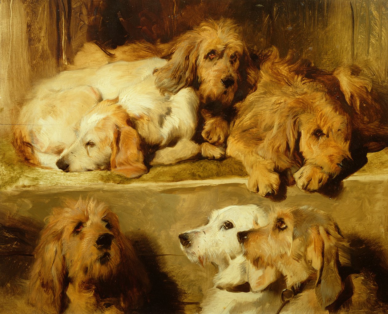 Hundar i en kennel av Edwin Landseer