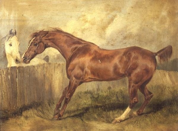 Marianne, en favoritjägare av Edwin Landseer
