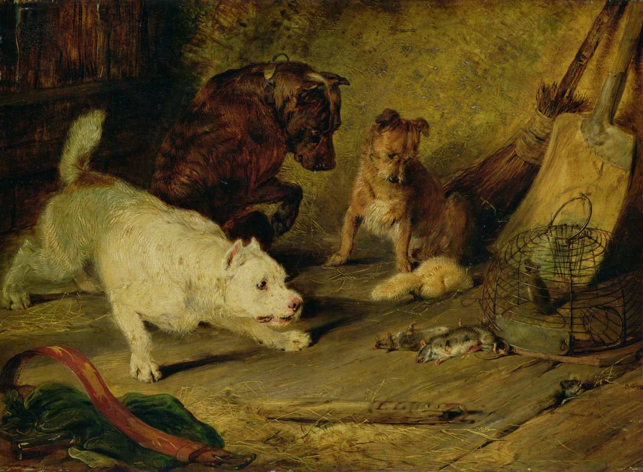 Råttfångare av Edwin Landseer