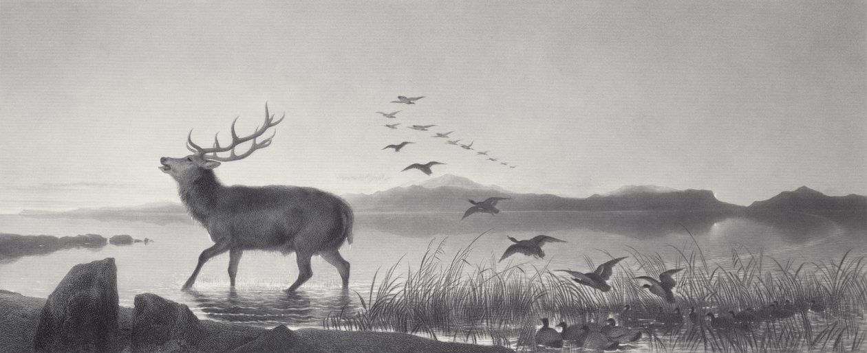 Räddningen av Edwin Landseer