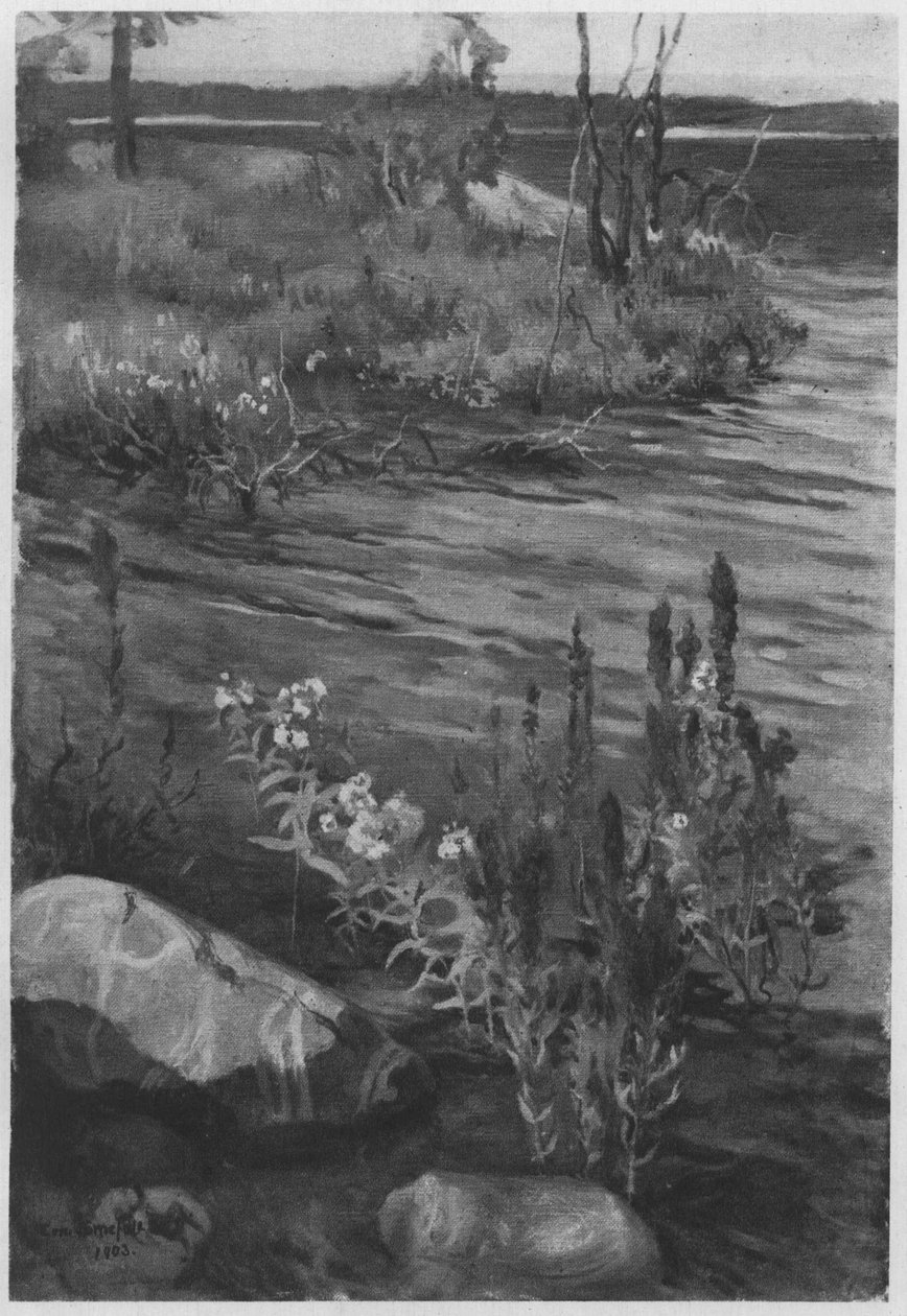  Blumen am Wasser. Beschreibung lt. Quellen av Eero Järnefelt