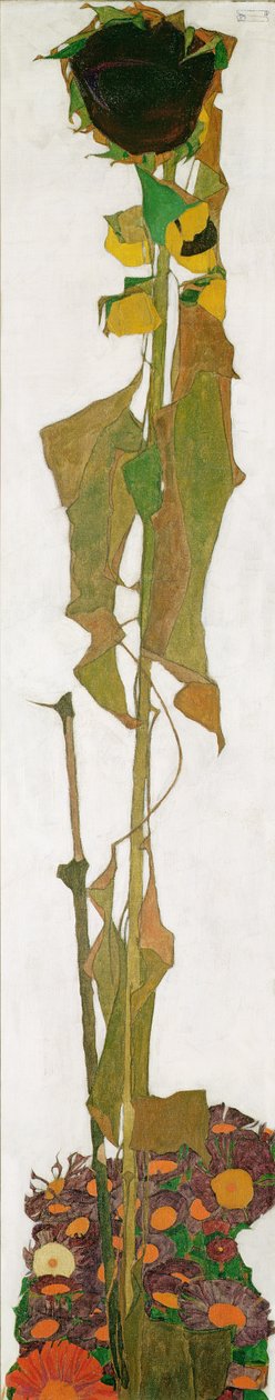 Solros av Egon Schiele