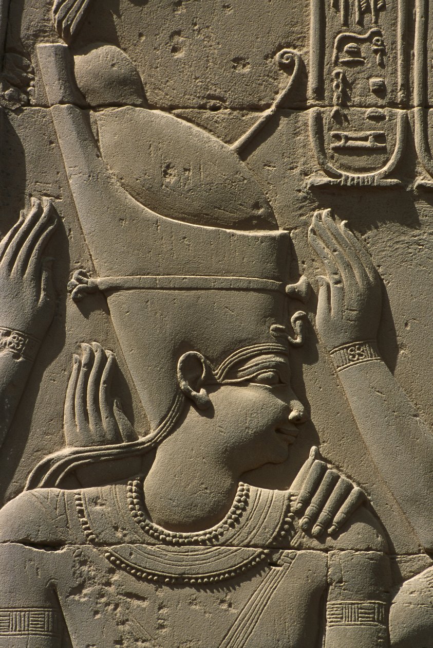 Detalj av en relief, faraos sten av Egyptian