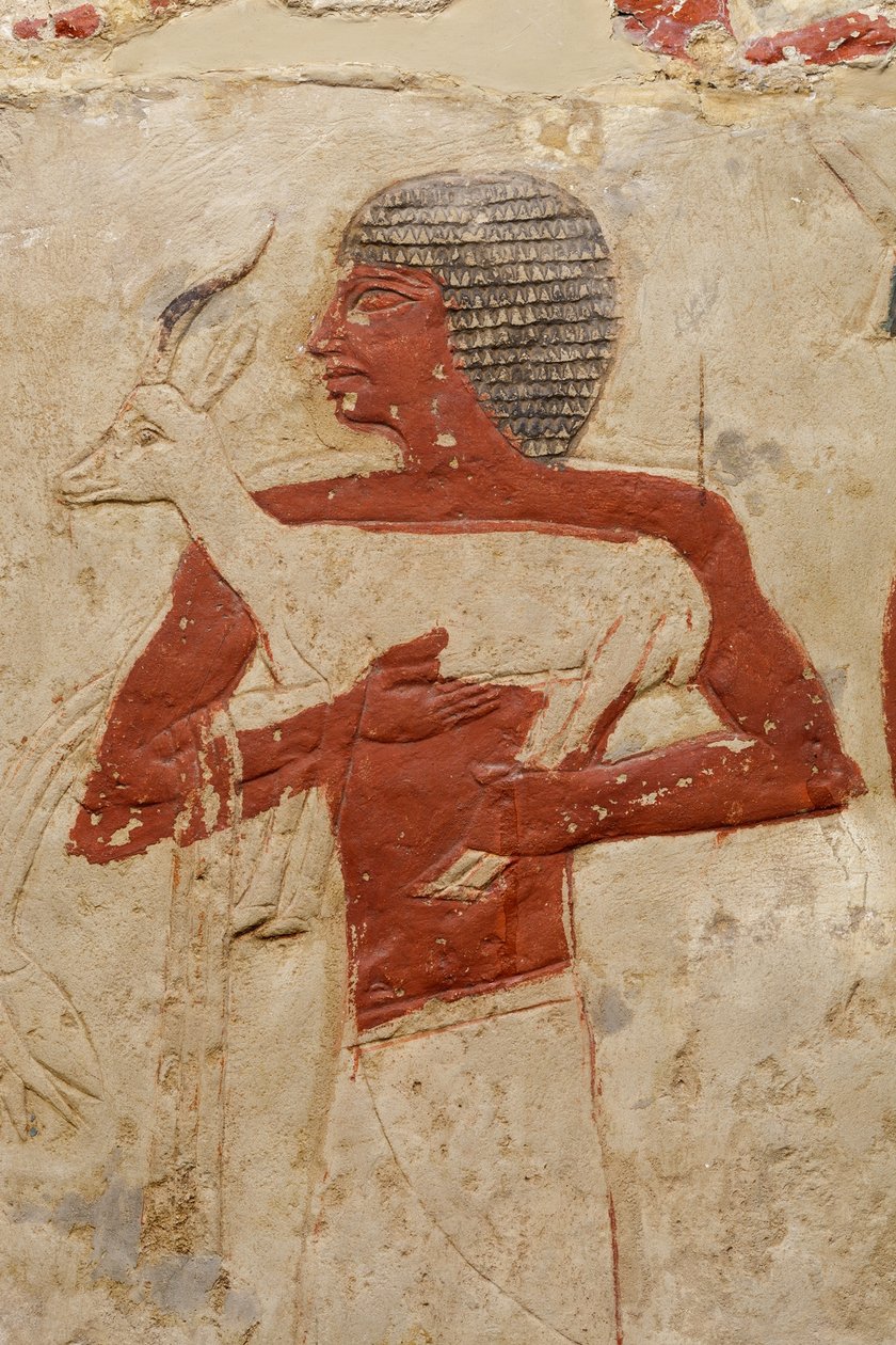 Mastaba Tomb of Perneb, c.2381–2323 f.Kr. (kalksten och färg) av Egyptian 5th Dynasty