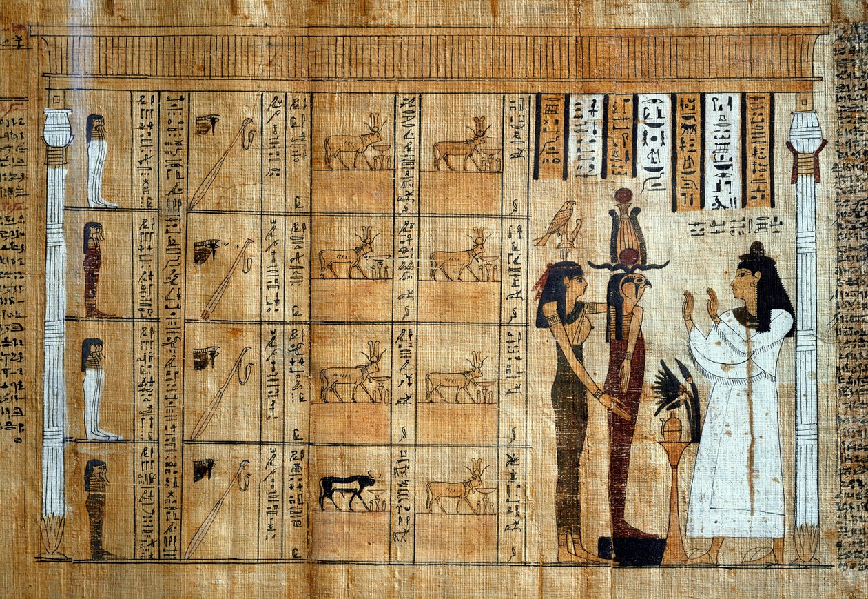 Okänd bild av Egyptian