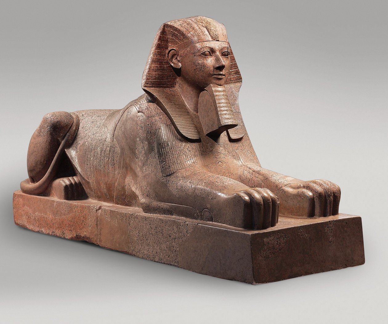 Sfinxen från Hatshepsut, ca 1479-58 (granit, färg) av Egyptian 18th Dynasty
