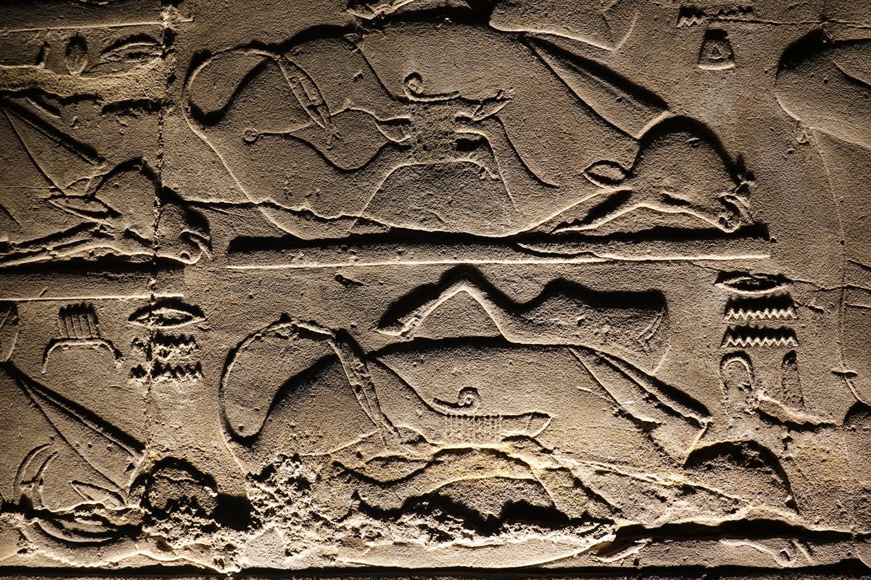 Luxor-templet: Offrade kor (lättnad) av Egyptian Egyptian
