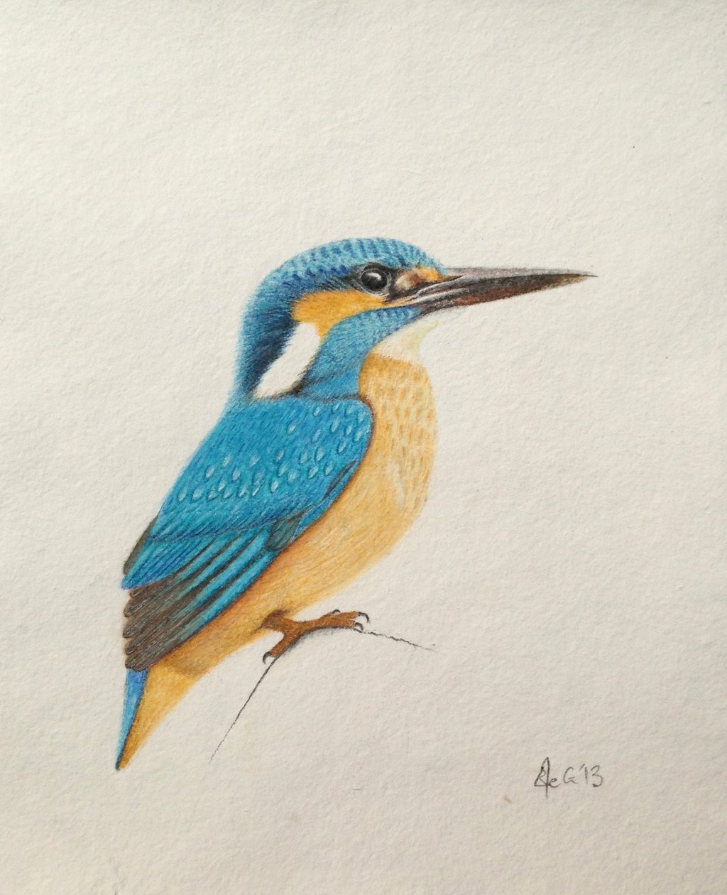 Kingfisher, 2013 (akvarellfärg och blyerts) av Eleanor Grafton