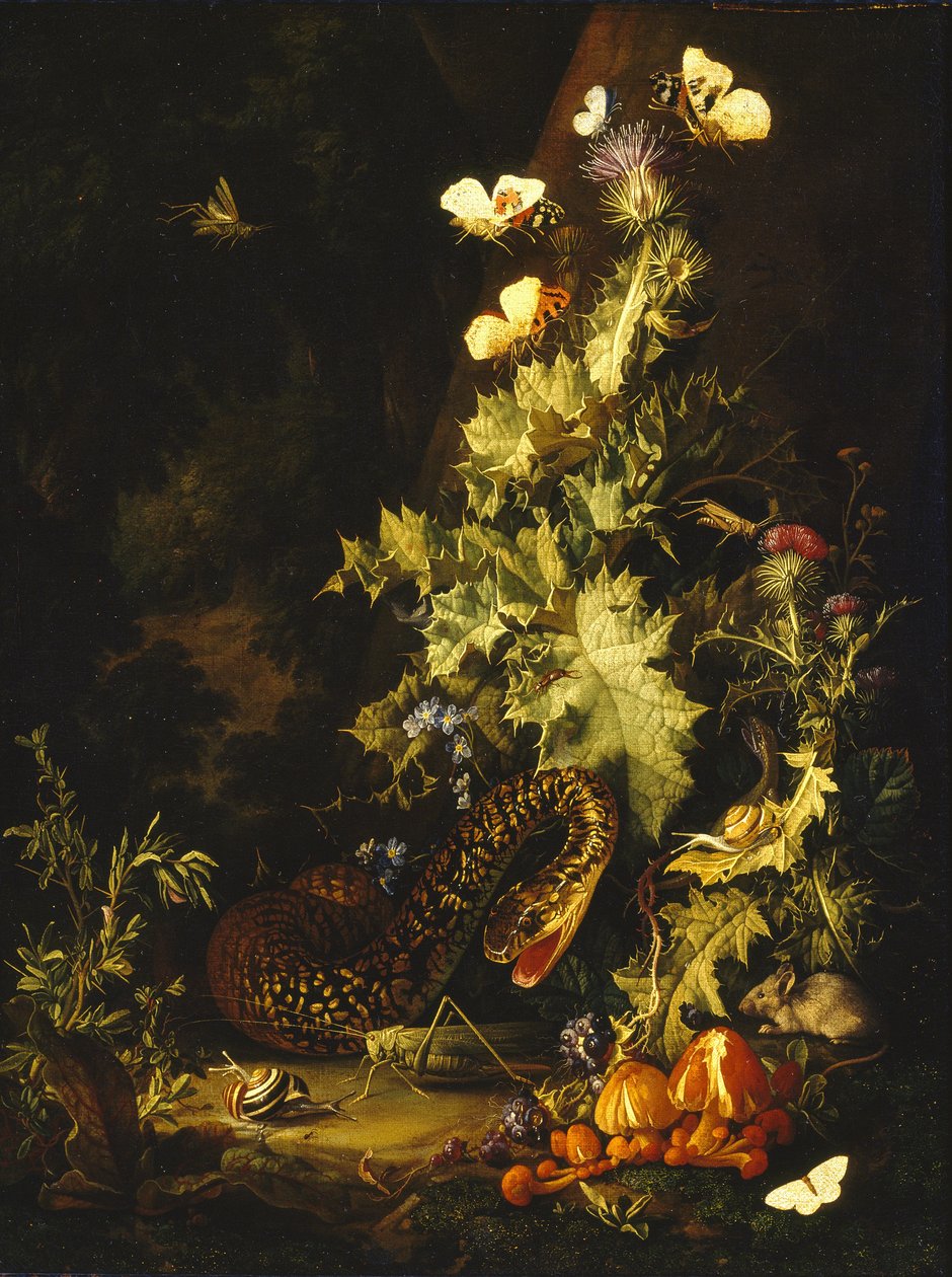 Stilleben med en orm av Elias van den Broeck