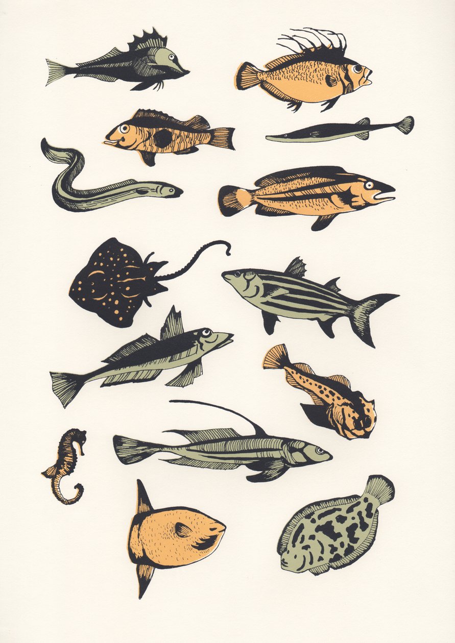 Plain Fish, 2015 (screenprint) av Eliza Southwood