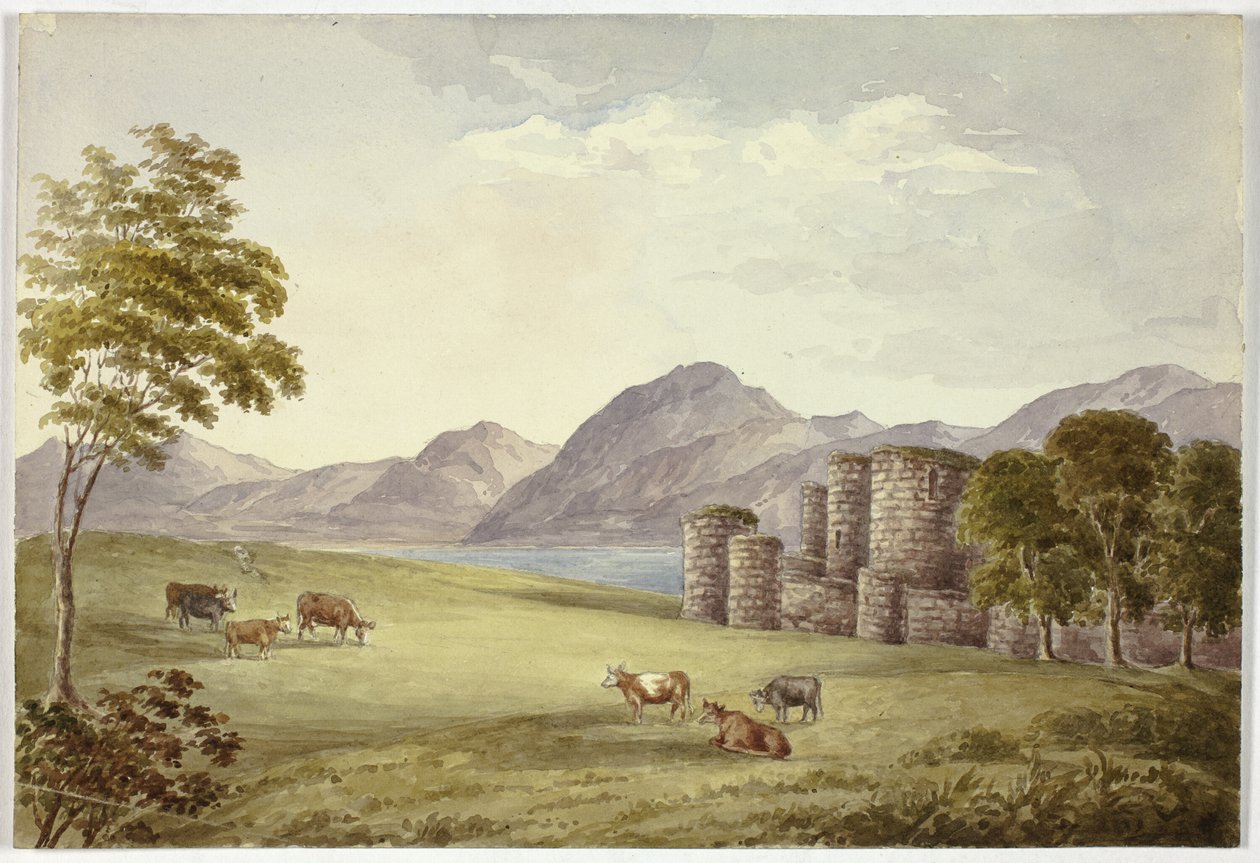 Beaumans slott av Elizabeth Murray