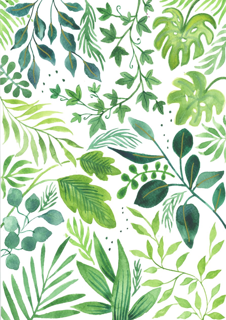Leafy Medley, 2018 (akvarell) av Elizabeth Rider