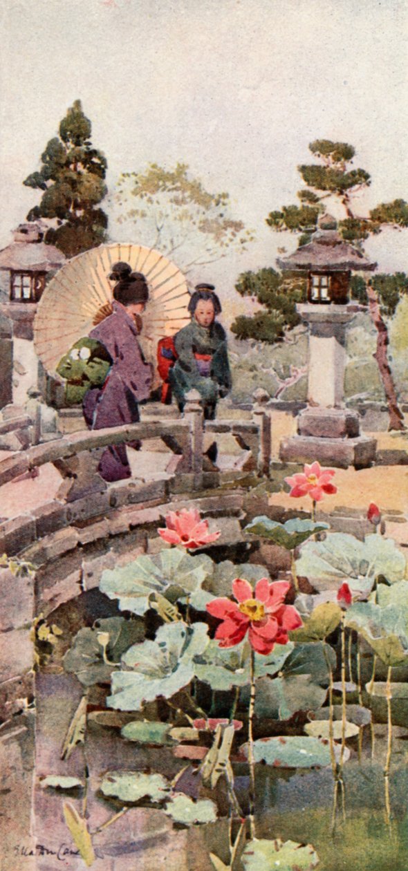 Lotusblommor (färglitografi) av Ella Du Cane
