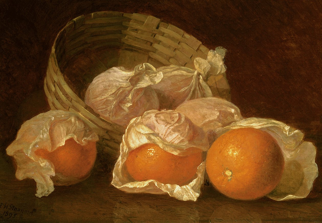 En korg med apelsiner, 1895 av Eloise Harriet Stannard
