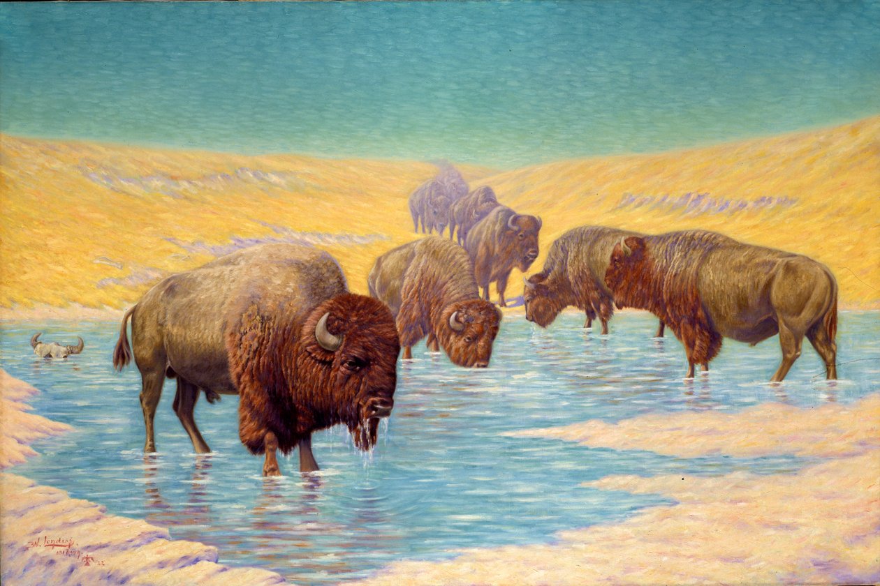Buffalo Scene, 1922. av Emil W. Lenders