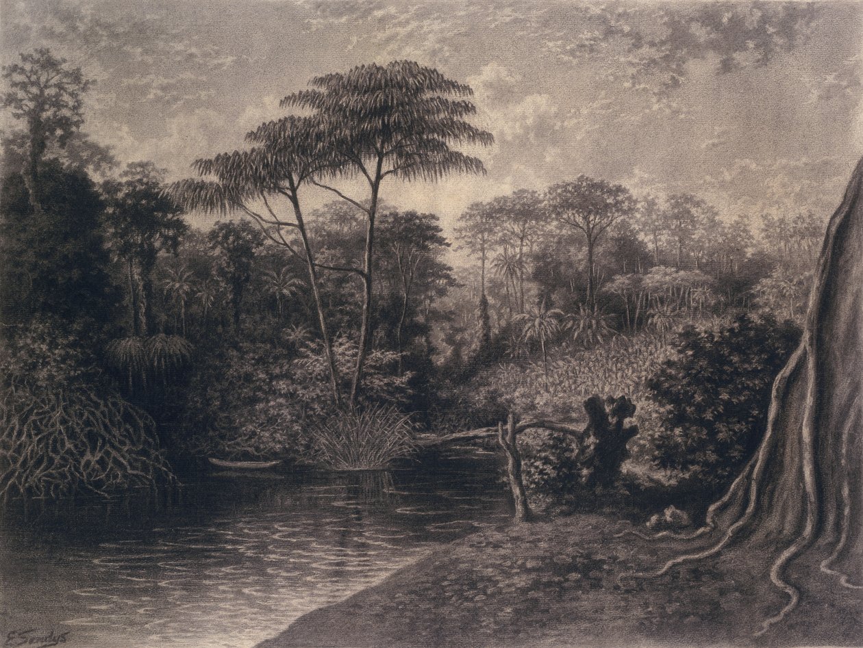 Utsikt över Kamerunfloden, Ambes Bay, Afrika, 1877 (kol på papper) av Emma Sandys