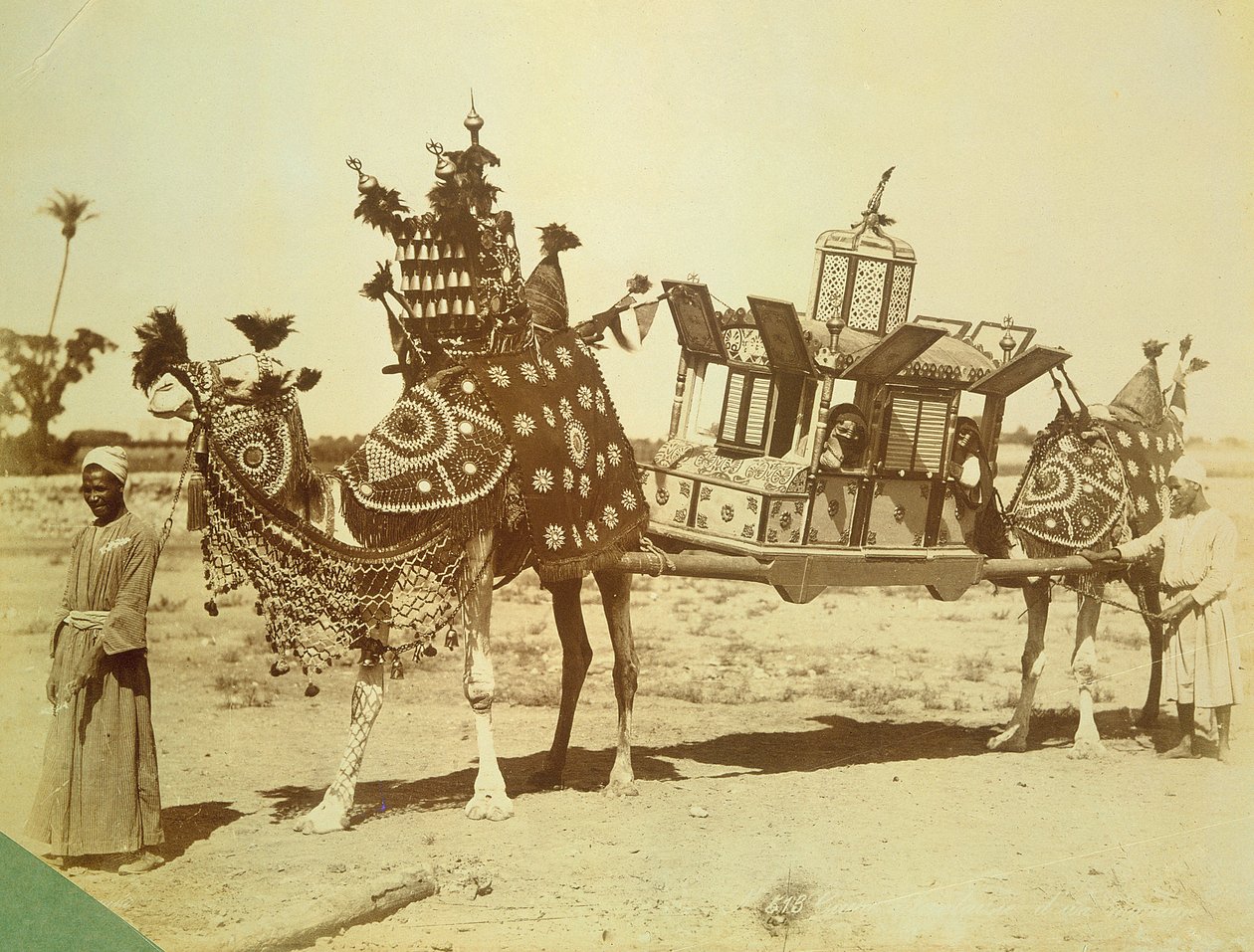Bridal Palanquin, Kairo, Egypten, ca 1878 av English Photographer