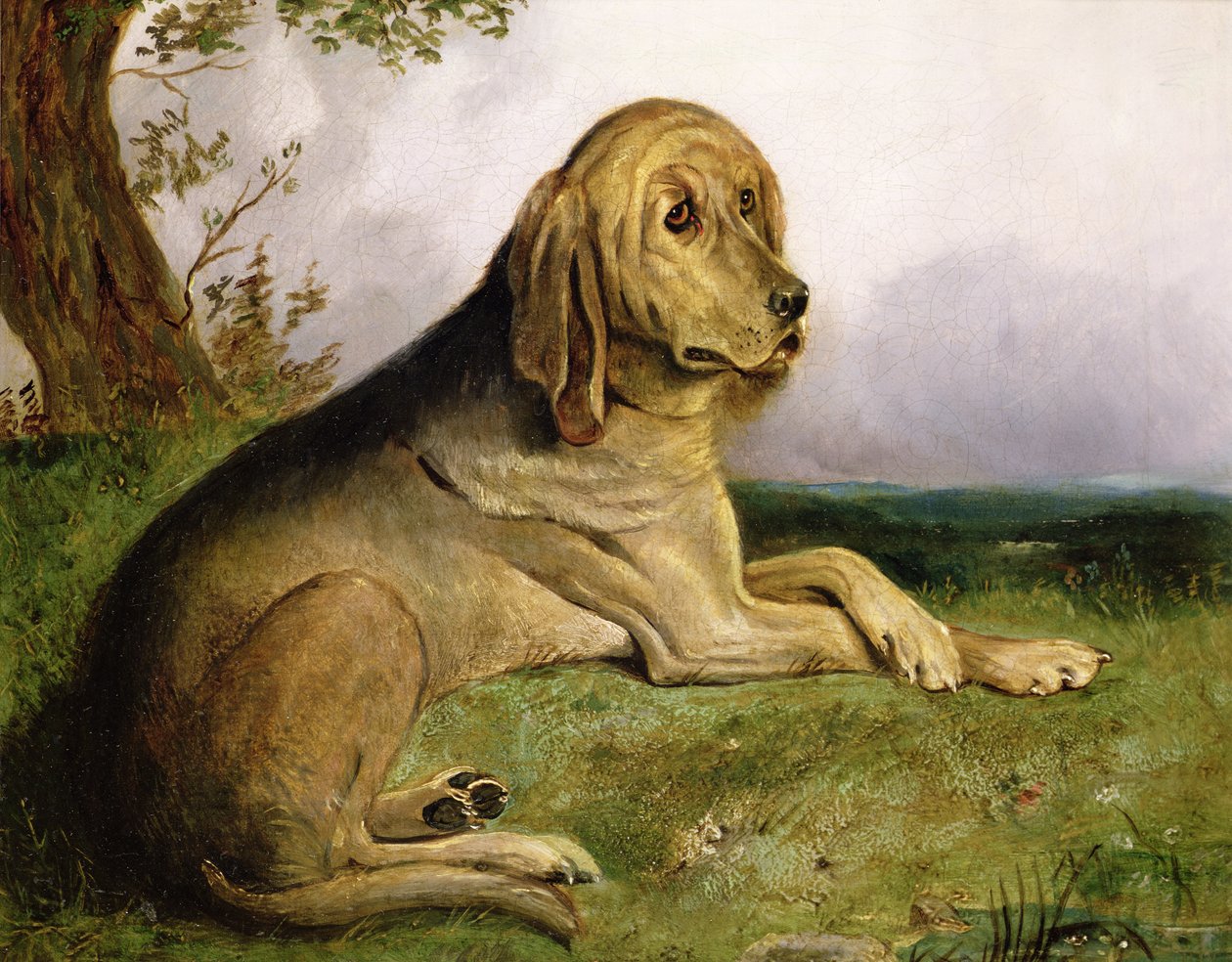 En blodhund i ett landskap (olja) av English School