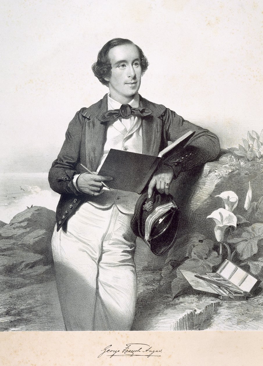 George French Angas av English School