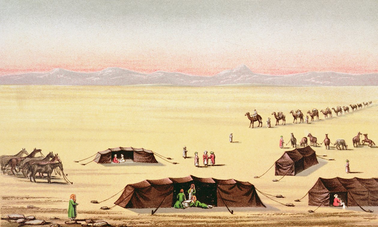 Our Desert Camp (färggravyr) av English School