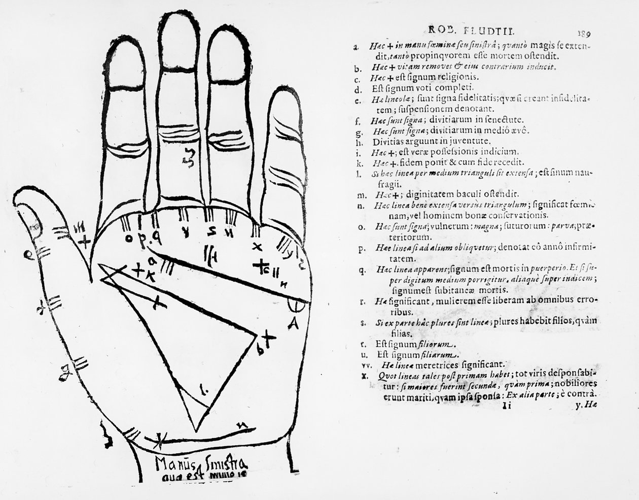 Palmistry av English School