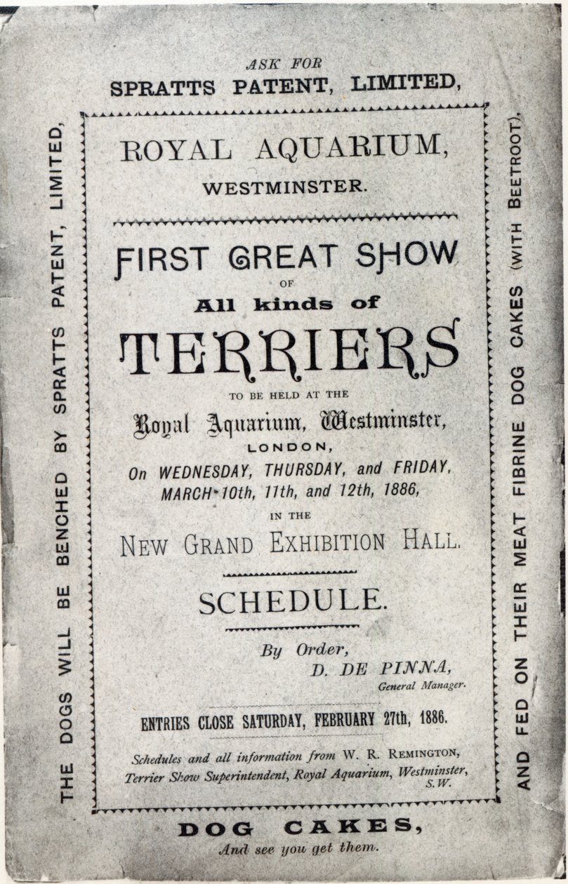 Affisch för Allied Terrier Club Show på Royal Aquarium i Westminster 1886. av English School