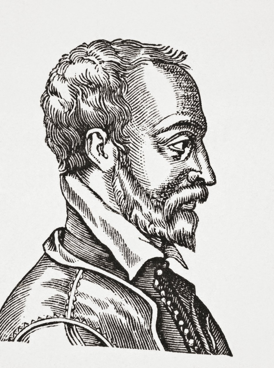 Remy Belleau, 1878 av English School