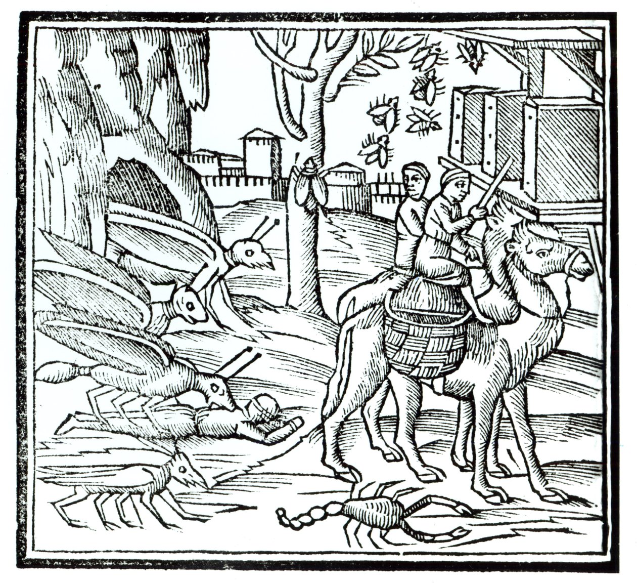 Sui o le Mala, 1572 swed av English School