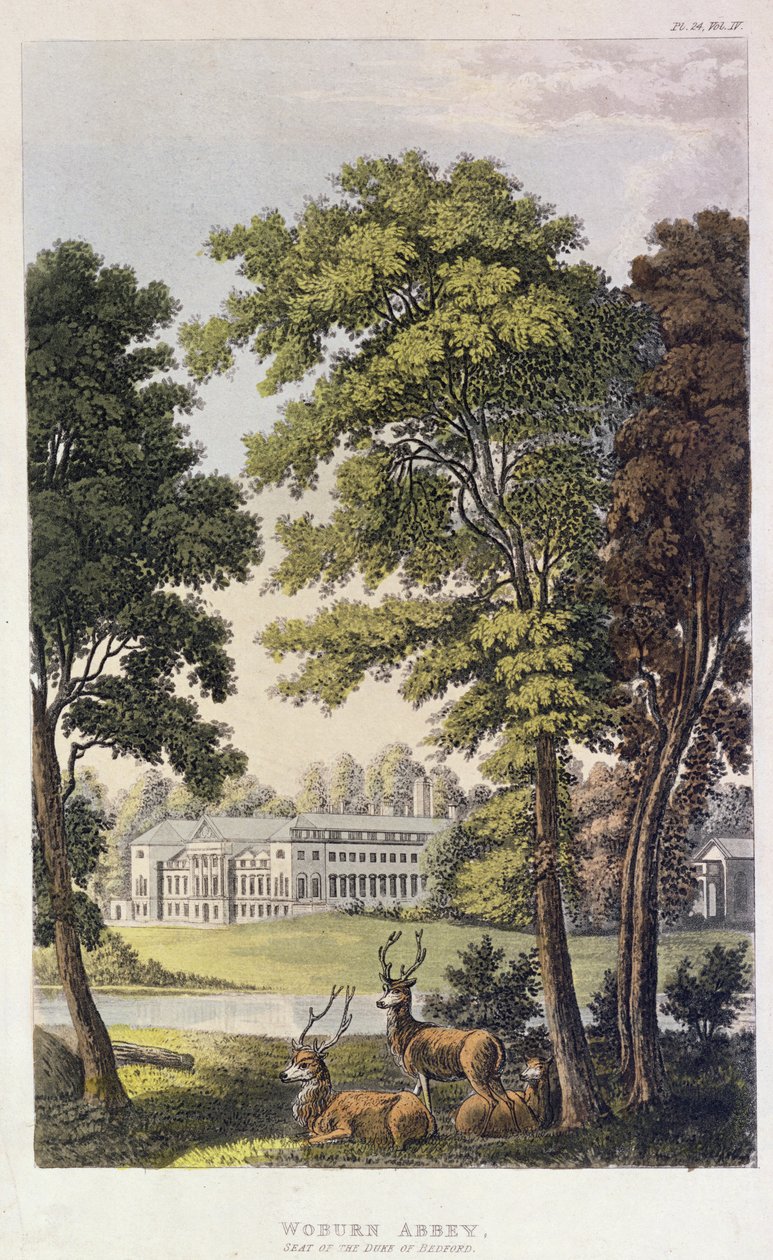Woburn Abbey, från Ackermanns 