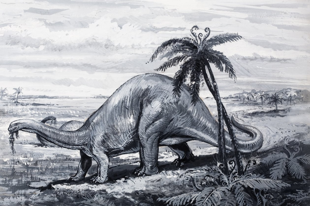 Brontosaurus av English Photographer